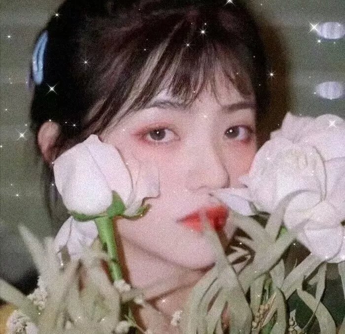 不求上进的玉子