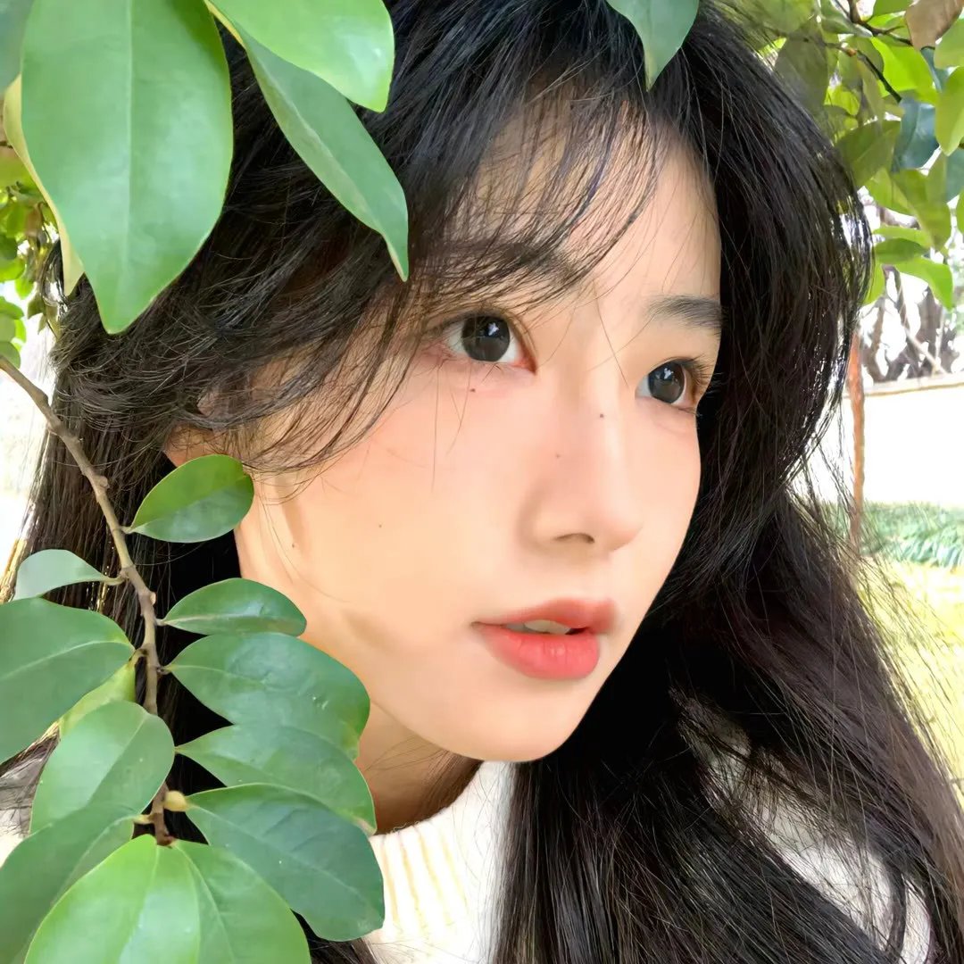 静静的顿河