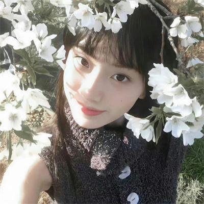 芝加哥警署第六季